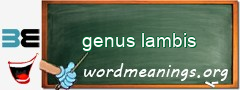 WordMeaning blackboard for genus lambis